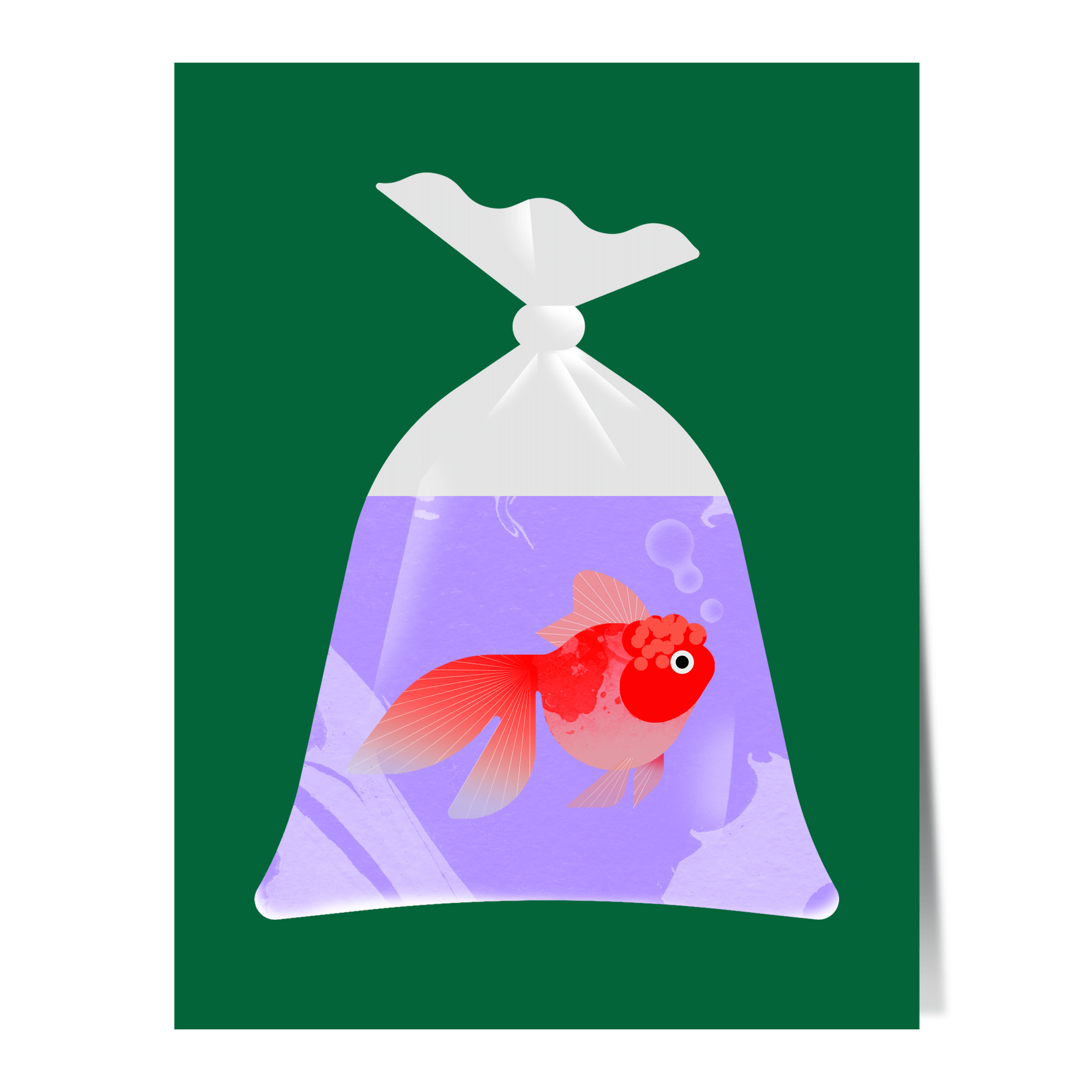 FISH BAG